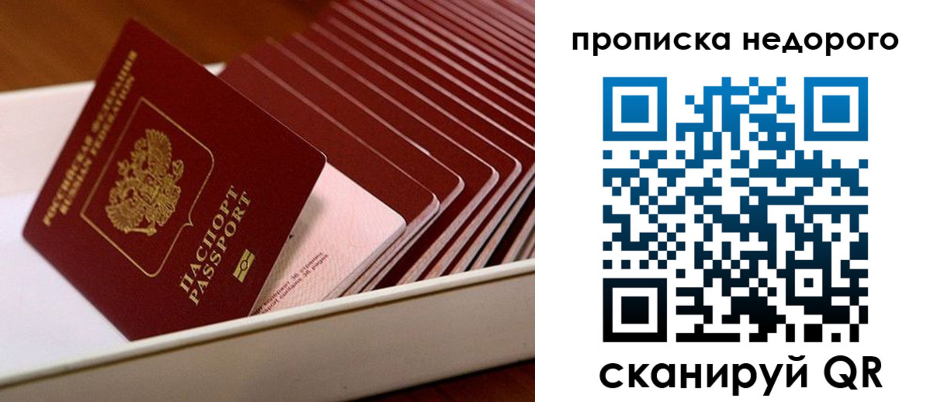 прописка паспорт в Славгороде